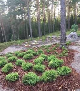 Loviisalainen huvila sai arvoisensa pihan