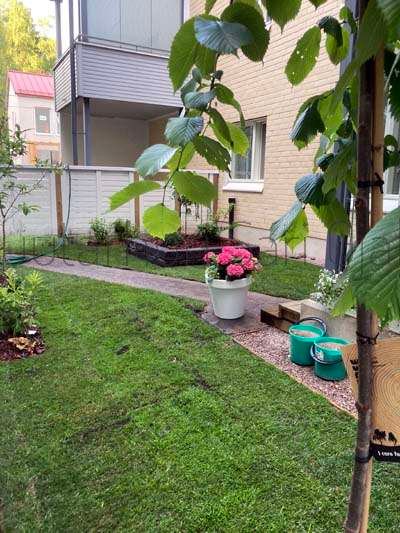 Samettikukka jaksaa elokuusta lokakuulle