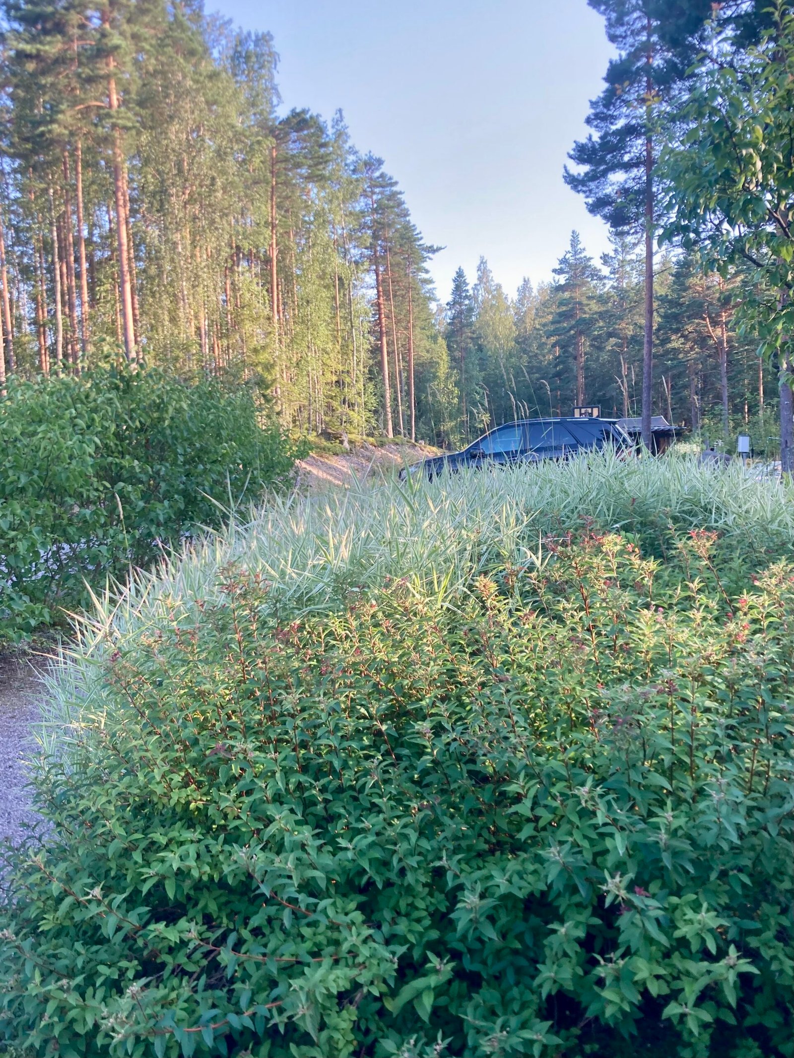 heinät2025 Syksyllä pihalla voi vielä tehdä vaikka mitä.