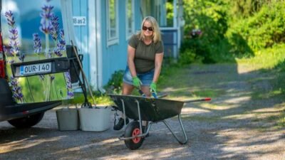 Puutarhanhoitoa kesällä 2018